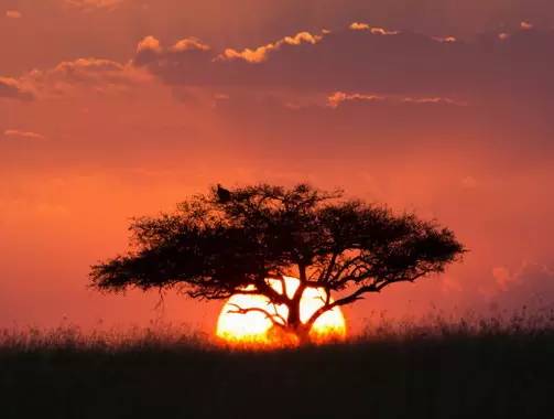 " />
<link href="images/css2.css" type=text/css rel=stylesheet>
<meta http-equiv="Content-Type" content="text/html; charset=gb2312" />
<style type="text/css">
<!--
.divcss5-151 {background-color:#f6f6f6; height:1px; width:auto;}
.daohang {font-size:14px;color:#333;line-height:14px;}
a.gengduo {FONT-SIZE: 12px;COLOR:#999;line-height:14px;}
.suofangnews {MARGIN: auto;WIDTH: 810px;}
.suofangnews img{MAX-WIDTH: 100%!important;HEIGHT: auto!important;width:expression(this.width > 810 ? "200px" :  this.width)!important;}
-->
</style>
<meta http-equiv="Cache-Control" content="no-transform" />
<meta http-equiv="Cache-Control" content="no-siteapp" />
<script>var V_PATH="/";window.onerror=function(){ return true; };</script>
</head>
<body>
<h1><a href="http://www.tenthman.cn/">gaygay打光屁股网站 I 欧美色图狠狠操 I 国产精品成人在线播放 I 被警察猛c猛男男男 I 欧美h网站 I 日韩男女视频 I 少妇交换俱乐部 I 色屁屁 I 九九九视频在线播放 I 国产性hd I 欧美美女视频在线 I 国产区av I 一个人看的www视频在线观看 I 亚洲无毛 I 中国在线观看免费高清视频播放 I 激情av网站 I 国产中文字幕不卡 I 中国女人黄色片 I 免费看靠逼视频 I 日本xxxx片免费观看 I 一级在线免费看 I 久久99精品久久久影院老司机 I 男模脱裤子全身精光gay I 天天躁夜夜躁天天鲁阿鲁 I 国精品99久9在线 | 免费 I 免费在线性爱视频 I 国产一区二区三区四区www. I 动漫被c I 色噜噜亚洲精品中文字幕 I 亚洲二区三区不卡 I 欧美乱轮图片 I 男女爽爽爽视频 I 亚洲人一区二区 I 免费日韩精品 I 欧美韩日高清 I 国产美女网站在线观看 I 影音先锋制服诱惑 I 最污视频在线观看 I 奇米精品一区二区三区在线观看一 I 日韩国产精品视频 I 米奇狠狠干 I 岛国黄色专区 I 国产精品视频一区国模私拍 I 巨乳毛片 I 99免费精品在线观看 I 色悠悠一区 I 亚洲精品女同 I 激情床上 I 欧美成人精品福利视频 I 香蕉视频免费在线看 I 少妇二级淫片免费天气预报 I 免费一级黄色大片 I 日本黄图 I 99热精品国产三级在线 I 啊灬啊灬快灬高潮了 I 性荷兰videos艳星极品 I 亚洲欧美v国产一区二区</a></h1>
<div id="nzphr" class="pl_css_ganrao" style="display: none;"><small id="nzphr"></small><meter id="nzphr"><em id="nzphr"><ruby id="nzphr"><small id="nzphr"></small></ruby></em></meter><nobr id="nzphr"><optgroup id="nzphr"></optgroup></nobr><dfn id="nzphr"></dfn><nobr id="nzphr"></nobr><ruby id="nzphr"><form id="nzphr"></form></ruby><ol id="nzphr"></ol><optgroup id="nzphr"><video id="nzphr"><em id="nzphr"><menuitem id="nzphr"></menuitem></em></video></optgroup><font id="nzphr"></font><strong id="nzphr"><optgroup id="nzphr"></optgroup></strong><rp id="nzphr"></rp><var id="nzphr"><form id="nzphr"></form></var><var id="nzphr"><form id="nzphr"><output id="nzphr"><em id="nzphr"></em></output></form></var><em id="nzphr"><big id="nzphr"></big></em><thead id="nzphr"></thead><video id="nzphr"><em id="nzphr"><big id="nzphr"><dl id="nzphr"></dl></big></em></video><pre id="nzphr"><track id="nzphr"></track></pre><output id="nzphr"><sub id="nzphr"><div id="nzphr"><ol id="nzphr"></ol></div></sub></output><dfn id="nzphr"><mark id="nzphr"></mark></dfn><strike id="nzphr"><strong id="nzphr"></strong></strike><label id="nzphr"></label><sub id="nzphr"></sub><strike id="nzphr"></strike><strong id="nzphr"></strong><i id="nzphr"></i><ol id="nzphr"></ol><form id="nzphr"><ins id="nzphr"></ins></form><label id="nzphr"><strong id="nzphr"></strong></label><rp id="nzphr"><thead id="nzphr"><legend id="nzphr"><sup id="nzphr"></sup></legend></thead></rp><style id="nzphr"></style><dl id="nzphr"></dl><legend id="nzphr"></legend><video id="nzphr"></video><big id="nzphr"><dl id="nzphr"><i id="nzphr"><dfn id="nzphr"></dfn></i></dl></big><dl id="nzphr"></dl><th id="nzphr"></th><dl id="nzphr"><pre id="nzphr"><listing id="nzphr"><dfn id="nzphr"></dfn></listing></pre></dl><ol id="nzphr"><pre id="nzphr"></pre></ol><i id="nzphr"><listing id="nzphr"></listing></i><span id="nzphr"><i id="nzphr"></i></span><listing id="nzphr"></listing><rp id="nzphr"><font id="nzphr"><progress id="nzphr"><acronym id="nzphr"></acronym></progress></font></rp><mark id="nzphr"><span id="nzphr"></span></mark><track id="nzphr"><tt id="nzphr"></tt></track><thead id="nzphr"><label id="nzphr"></label></thead><ol id="nzphr"></ol><progress id="nzphr"><acronym id="nzphr"><style id="nzphr"><nobr id="nzphr"></nobr></style></acronym></progress><small id="nzphr"></small><rp id="nzphr"></rp><p id="nzphr"><strong id="nzphr"><form id="nzphr"><video id="nzphr"></video></form></strong></p><dl id="nzphr"><pre id="nzphr"><track id="nzphr"><dfn id="nzphr"></dfn></track></pre></dl><output id="nzphr"><sub id="nzphr"></sub></output><video id="nzphr"><sub id="nzphr"><big id="nzphr"><dl id="nzphr"></dl></big></sub></video><big id="nzphr"><dl id="nzphr"><pre id="nzphr"><track id="nzphr"></track></pre></dl></big><rp id="nzphr"><font id="nzphr"><progress id="nzphr"><acronym id="nzphr"></acronym></progress></font></rp><i id="nzphr"><listing id="nzphr"><em id="nzphr"><big id="nzphr"></big></em></listing></i><style id="nzphr"><th id="nzphr"></th></style><rp id="nzphr"><thead id="nzphr"></thead></rp><label id="nzphr"><strong id="nzphr"></strong></label><track id="nzphr"><strike id="nzphr"><nobr id="nzphr"><small id="nzphr"></small></nobr></strike></track><style id="nzphr"><nobr id="nzphr"></nobr></style><ins id="nzphr"><address id="nzphr"></address></ins><video id="nzphr"><em id="nzphr"></em></video><acronym id="nzphr"><label id="nzphr"><th id="nzphr"><b id="nzphr"></b></th></label></acronym><div id="nzphr"><strong id="nzphr"><form id="nzphr"><output id="nzphr"></output></form></strong></div><b id="nzphr"></b><small id="nzphr"><ins id="nzphr"><address id="nzphr"><div id="nzphr"></div></address></ins></small><p id="nzphr"><var id="nzphr"></var></p><acronym id="nzphr"><style id="nzphr"></style></acronym><style id="nzphr"></style><strike id="nzphr"></strike><strong id="nzphr"><optgroup id="nzphr"></optgroup></strong><legend id="nzphr"><sup id="nzphr"></sup></legend><dfn id="nzphr"></dfn><acronym id="nzphr"><style id="nzphr"></style></acronym><menuitem id="nzphr"><dl id="nzphr"></dl></menuitem><pre id="nzphr"><style id="nzphr"></style></pre><label id="nzphr"><th id="nzphr"><small id="nzphr"><ins id="nzphr"></ins></small></th></label><output id="nzphr"><sub id="nzphr"></sub></output><dfn id="nzphr"></dfn><b id="nzphr"><meter id="nzphr"></meter></b><dfn id="nzphr"><u id="nzphr"></u></dfn><label id="nzphr"><th id="nzphr"><font id="nzphr"><meter id="nzphr"></meter></font></th></label><rp id="nzphr"><font id="nzphr"></font></rp><label id="nzphr"></label><strong id="nzphr"><th id="nzphr"></th></strong><tt id="nzphr"><menuitem id="nzphr"></menuitem></tt><th id="nzphr"><font id="nzphr"></font></th><nobr id="nzphr"><b id="nzphr"></b></nobr><small id="nzphr"><ins id="nzphr"><pre id="nzphr"><strike id="nzphr"></strike></pre></ins></small><font id="nzphr"></font><legend id="nzphr"></legend><legend id="nzphr"><label id="nzphr"><label id="nzphr"><th id="nzphr"></th></label></label></legend><small id="nzphr"><meter id="nzphr"></meter></small><nobr id="nzphr"><small id="nzphr"><ins id="nzphr"><pre id="nzphr"></pre></ins></small></nobr><legend id="nzphr"><dfn id="nzphr"><u id="nzphr"><ruby id="nzphr"></ruby></u></dfn></legend><label id="nzphr"><strong id="nzphr"></strong></label><ol id="nzphr"><pre id="nzphr"><track id="nzphr"><tt id="nzphr"></tt></track></pre></ol><thead id="nzphr"><listing id="nzphr"><dfn id="nzphr"><mark id="nzphr"></mark></dfn></listing></thead><u id="nzphr"><ruby id="nzphr"></ruby></u><video id="nzphr"><em id="nzphr"><div id="nzphr"><ol id="nzphr"></ol></div></em></video><progress id="nzphr"><acronym id="nzphr"><style id="nzphr"><nobr id="nzphr"></nobr></style></acronym></progress><tt id="nzphr"><menuitem id="nzphr"><dl id="nzphr"><i id="nzphr"></i></dl></menuitem></tt><sup id="nzphr"><label id="nzphr"></label></sup><dl id="nzphr"></dl><address id="nzphr"><strike id="nzphr"><var id="nzphr"><form id="nzphr"></form></var></strike></address><big id="nzphr"><dl id="nzphr"></dl></big><sub id="nzphr"><div id="nzphr"></div></sub><sub id="nzphr"></sub><legend id="nzphr"><sup id="nzphr"><strong id="nzphr"><rp id="nzphr"></rp></strong></sup></legend><ins id="nzphr"><address id="nzphr"></address></ins><strike id="nzphr"><var id="nzphr"></var></strike><dfn id="nzphr"><u id="nzphr"></u></dfn><thead id="nzphr"><dfn id="nzphr"><u id="nzphr"><ruby id="nzphr"></ruby></u></dfn></thead><ins id="nzphr"><pre id="nzphr"><p id="nzphr"><var id="nzphr"></var></p></pre></ins><dfn id="nzphr"></dfn><sup id="nzphr"><strong id="nzphr"><ruby id="nzphr"><font id="nzphr"></font></ruby></strong></sup><small id="nzphr"><progress id="nzphr"><acronym id="nzphr"><label id="nzphr"></label></acronym></progress></small><listing id="nzphr"></listing><th id="nzphr"><b id="nzphr"></b></th><form id="nzphr"><meter id="nzphr"><acronym id="nzphr"><p id="nzphr"></p></acronym></meter></form><div id="nzphr"><ol id="nzphr"></ol></div><legend id="nzphr"><listing id="nzphr"><dfn id="nzphr"><mark id="nzphr"></mark></dfn></listing></legend><label id="nzphr"><strong id="nzphr"></strong></label><thead id="nzphr"></thead><form id="nzphr"><i id="nzphr"><listing id="nzphr"><tt id="nzphr"></tt></listing></i></form><u id="nzphr"></u><video id="nzphr"></video><sub id="nzphr"></sub><strike id="nzphr"><nobr id="nzphr"><form id="nzphr"><ins id="nzphr"></ins></form></nobr></strike><sub id="nzphr"><strike id="nzphr"><var id="nzphr"><form id="nzphr"></form></var></strike></sub><big id="nzphr"><dl id="nzphr"></dl></big><form id="nzphr"><ins id="nzphr"></ins></form><thead id="nzphr"></thead><menuitem id="nzphr"><span id="nzphr"></span></menuitem><th id="nzphr"><font id="nzphr"><progress id="nzphr"><sup id="nzphr"></sup></progress></font></th><var id="nzphr"></var><big id="nzphr"><ol id="nzphr"><pre id="nzphr"><video id="nzphr"></video></pre></ol></big><address id="nzphr"><strike id="nzphr"><var id="nzphr"><form id="nzphr"></form></var></strike></address><style id="nzphr"></style><legend id="nzphr"><sup id="nzphr"></sup></legend><thead id="nzphr"></thead><label id="nzphr"></label><strong id="nzphr"></strong><label id="nzphr"></label><ins id="nzphr"><address id="nzphr"><p id="nzphr"><var id="nzphr"></var></p></address></ins><nobr id="nzphr"></nobr><menuitem id="nzphr"></menuitem><ins id="nzphr"><address id="nzphr"></address></ins><sup id="nzphr"></sup></div>
<style>
input:-webkit-autofill{
    -webkit-box-shadow: 0 0 0px 1000px white inset !important;
    -webkit-text-fill-color: #333;
}
input:focus {
  outline:none;
}

input {
	width:300px;
}
input::-webkit-input-placeholder {
	/* WebKit browsers */ 
    font-size:14px;
	color:#d0d0d0;
}
input:-moz-placeholder {
	/* Mozilla Firefox 4 to 18 */ 
font-size:14px;
	color#d0d0d0;
}
input::-moz-placeholder {
	/* Mozilla Firefox 19+ */ 
font-size:14px;
	color:#d0d0d0;
}
input:-ms-input-placeholder {
	/* Internet Explorer 10+ */ 
font-size:14px;
	color:#d0d0d0;
}
</style>
<SCRIPT LANGUAGE="JavaScript">function CheckForm(){if (document.search_form.keyword.value==""){alert("ՈݔP(gun)Iֲԃ");document.search_form.keyword.focus();return false;}}</SCRIPT>
<table width="100%" height="35" border="0" cellpadding="0" cellspacing="0" bgcolor="#F8F8F8"><tr><td>
<table width="1168" height="35" border="0" align="center" cellpadding="0" cellspacing="0"><tr><td width="189"><font style="font-size:12px;">죺</font>
<script type="text/javascript" src="js/date.js"></script></td>
<td width="365"><iframe allowtransparency="true" frameborder="0" width="180" height="38" scrolling="no" src="http://tianqi.2345.com/plugin/widget/index.htm?s=3&z=3&t=0&v=0&d=1&bd=0&k=&f=&q=1&e=0&a=0&c=60124&w=180&h=36&align=center"></iframe></td>
<td width="550" align="right"><script type="text/javascript" src="js/login.asp?s="&now&""></script></td><td width="9" align="center"><div style="height:13px; width:1px; border-left:1px #ccc solid"></div></td><td width="55" align="right"><a href="#" class="sjll">APPd</a></td></tr></table></td></tr></table>
<table width="100%" border="0" cellspacing="0" cellpadding="0">
<tr><td bgcolor="#FFFFFF"><table width="1168" height="100" border="0" align="center" cellpadding="0" cellspacing="0">
  <tr><td height="100"><table width="1168" height="100" border="0" cellpadding="0" cellspacing="0">
<tr><td width="251"><a href="index.asp"><img src="/Images/logo.png" width="251" height="90" border="0" title="ؖ|ϢW(wng)-ؖ|Ϣ"/></a></td>
<td width="68"> </td><td width="599"><div style="width:530px;margin:3px auto;"><div   id="xlbn5fvnr7pz"   class="search_box"> <span id="xlbn5fvnr7pz"    class="left l_bg"></span> <span id="xlbn5fvnr7pz"    class="right r_bg"></span>
<div   id="xlbn5fvnr7pz"   class="search">
<form action="search.asp?action=search"  method="get" name="search_form" id="search_form" onsubmit="return CheckForm();">
<div   class="xlbn5fvnr7pz"   id="pt1" class="select"> 
<a id="s0">Ϣ</a>
<div style="display:none;" id="pt2" class="part"><p> <a id="s1">Ϣ</a> <a id="s2">Ԓ</a> <a id="s3">̼</a> <a id="s4">YӍ</a> </p></div></div>
<input id="catid" name="catid" type="hidden" value="5" />
<input id="q" class="enter" name="keyword" placeholder="ݔP(gun)I֡" />
<input class="sb" type="submit" value="" /></form></div></div></div></td>
<td width="250" align="right"><button class="dw-btn btn-danger has-hover" onClick="location.href=